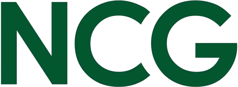 NASH Consulting logo